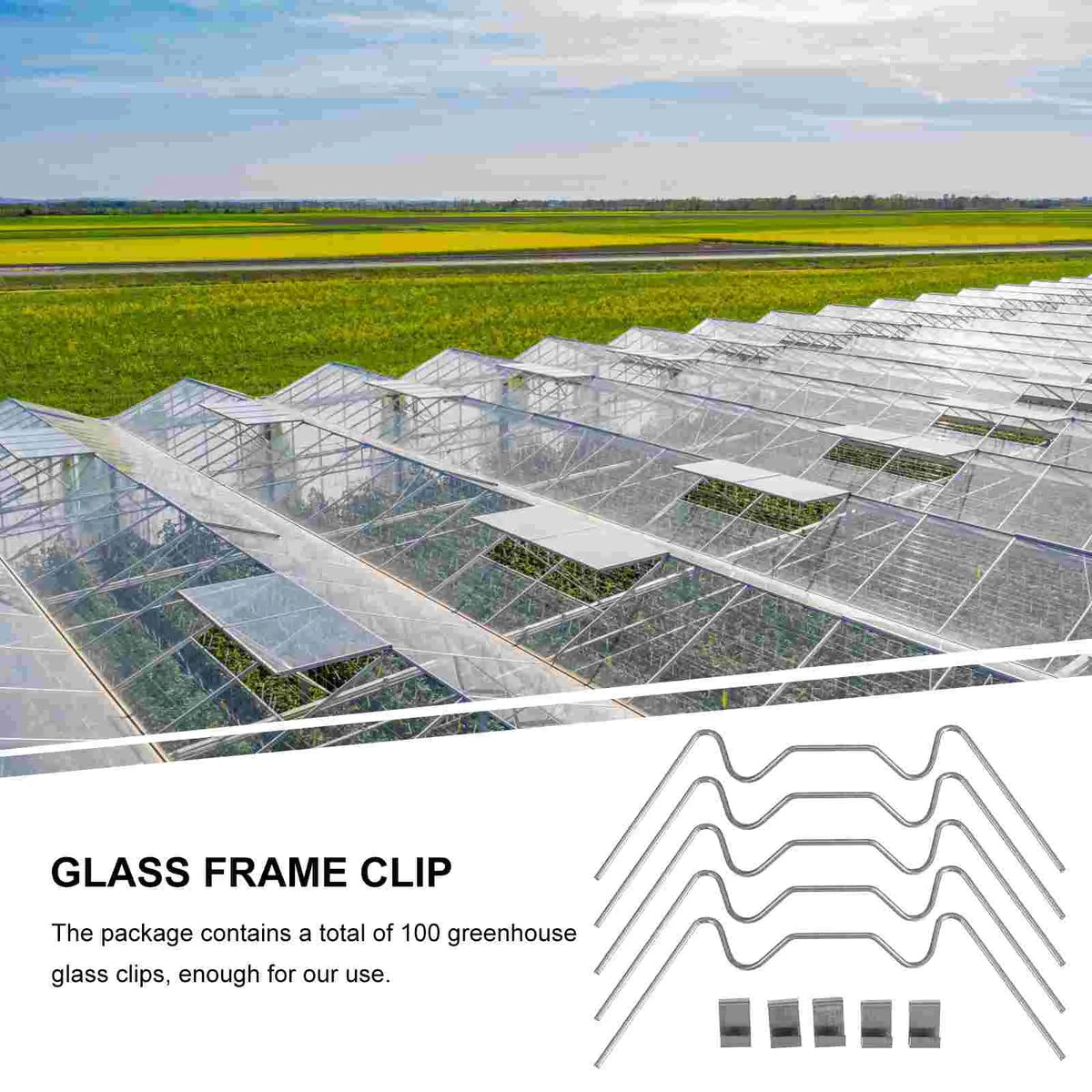 Greenhouse Glass Clamps Stainless Steel Clip Frame W Clips Fixing