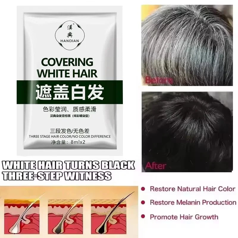 Herbal Hair Dye Shampoo – Natural Black & Grey Coverage