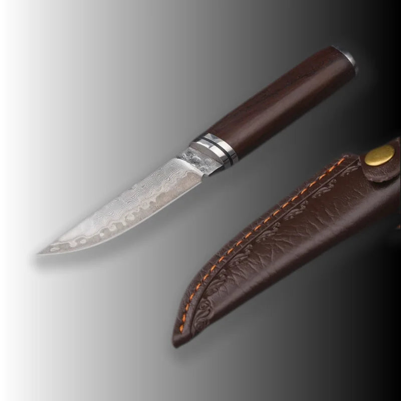 Damascus Fixed Blade Hunting Knife | 10Cr15MoV Steel 3-Inch
