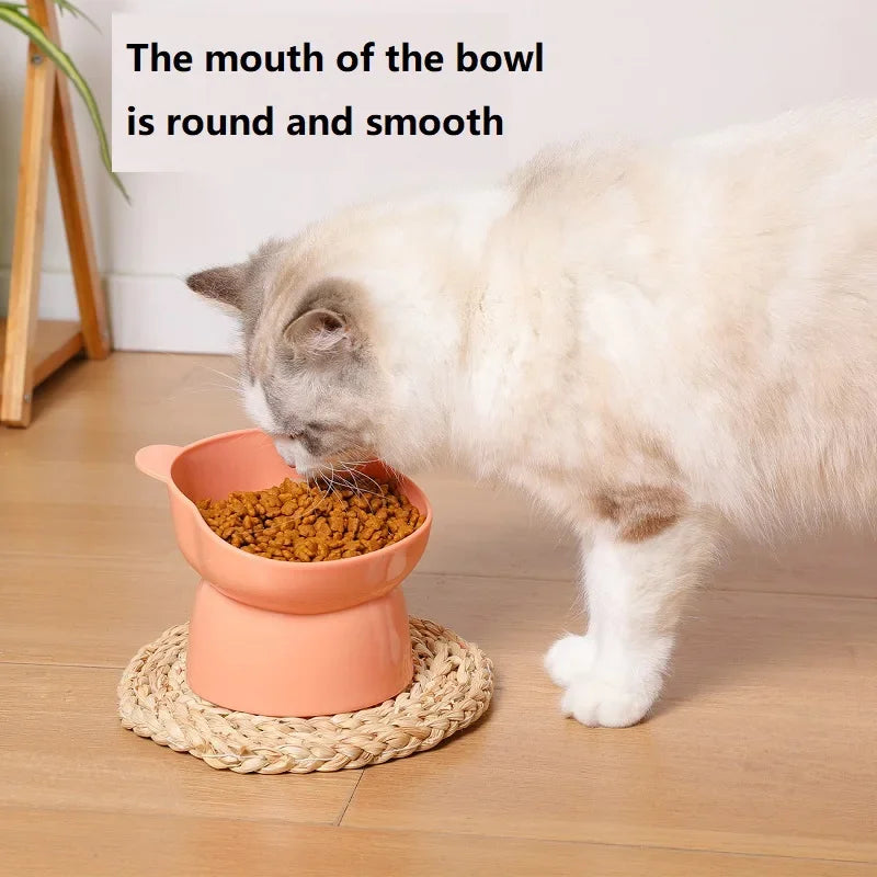Elevated Tilted Cat Bowl | Non-Slip Raised Feeder & Waterer