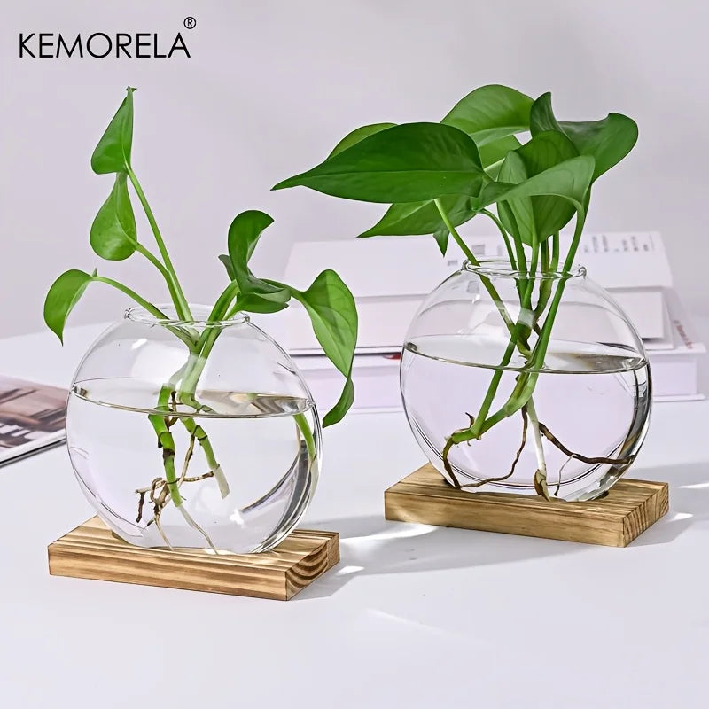 Hydroponic Glass Planter with Wood Stand | Desk Decor Vase