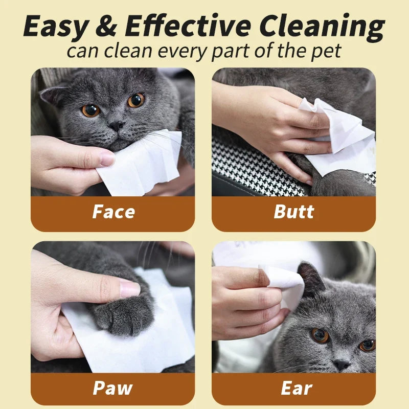 Pet Wipes Dogs & Cats | Pure Water Formula – 10 Pack