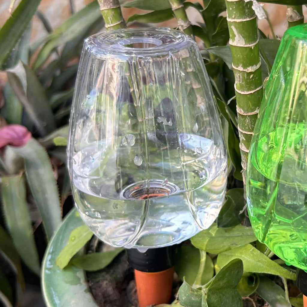 350ml Self-Watering Globe – Automatic Plant Drip Irrigator