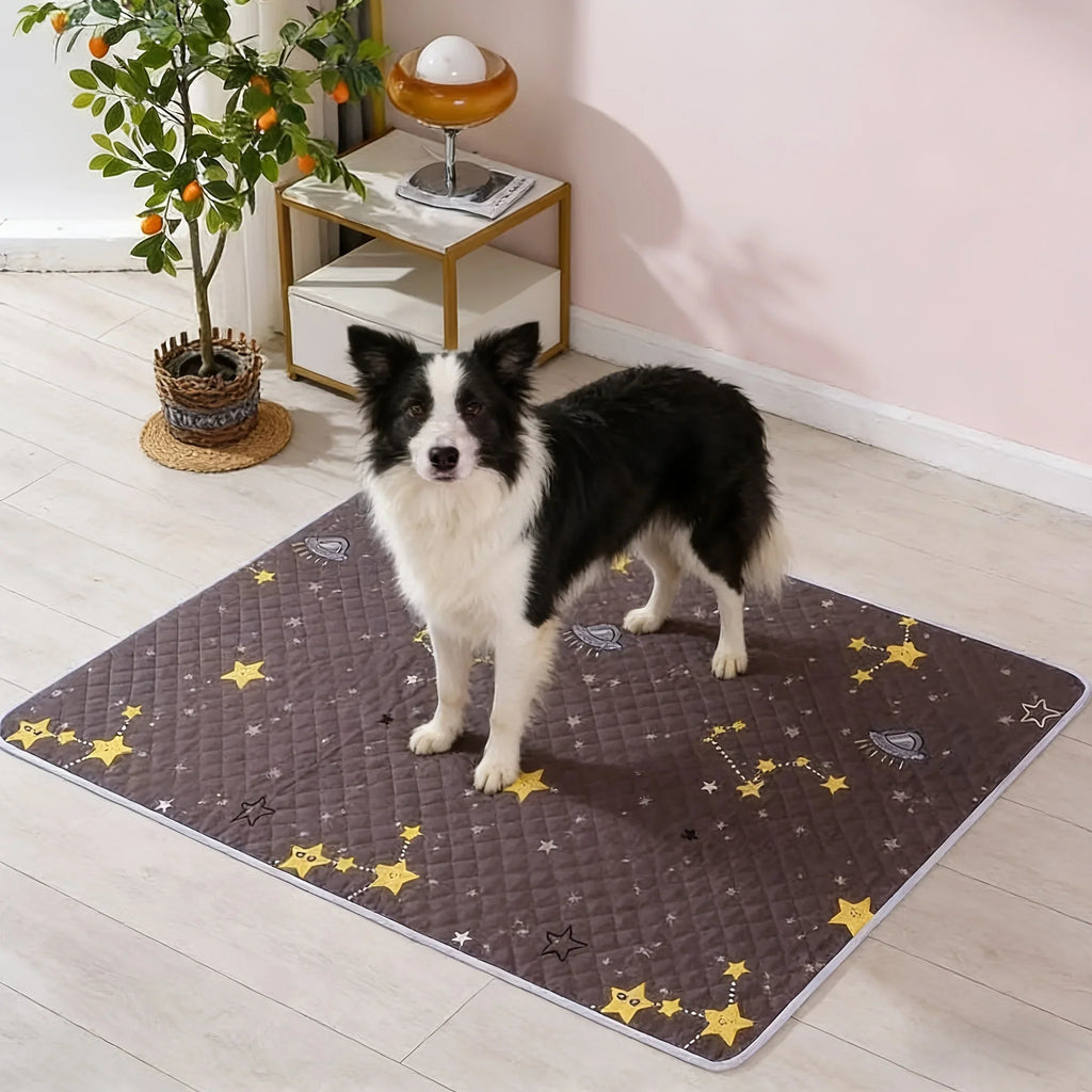 KEMORELA 2-Pack Reusable Dog Training Mats – Washable Pet Pads