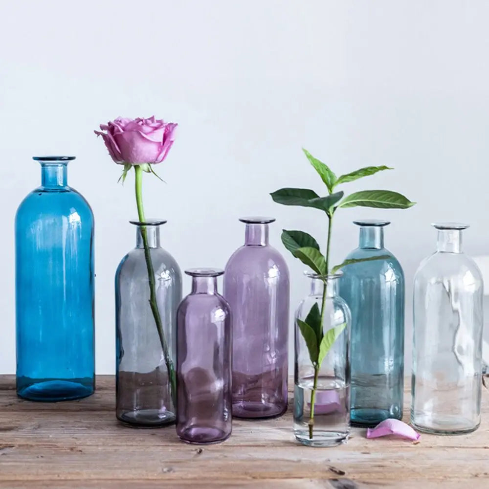 Transparent Glass Flower Vase | Modern Hydroponic Table Decor