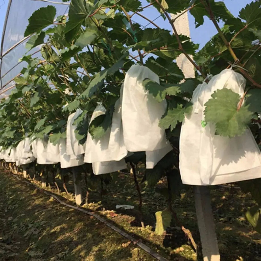 100-Pack Fruit Protection Bags – Anti-Bird & Insect Garden Mesh
