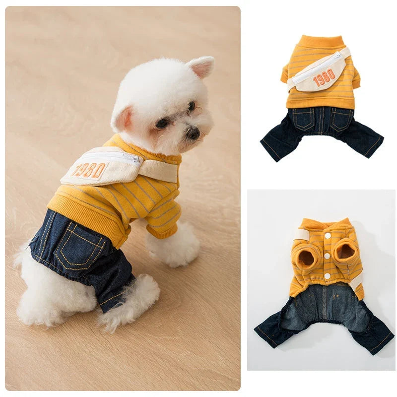 Cute Winter Dog Clothes | Denim & Sweater Outfit XS–XL