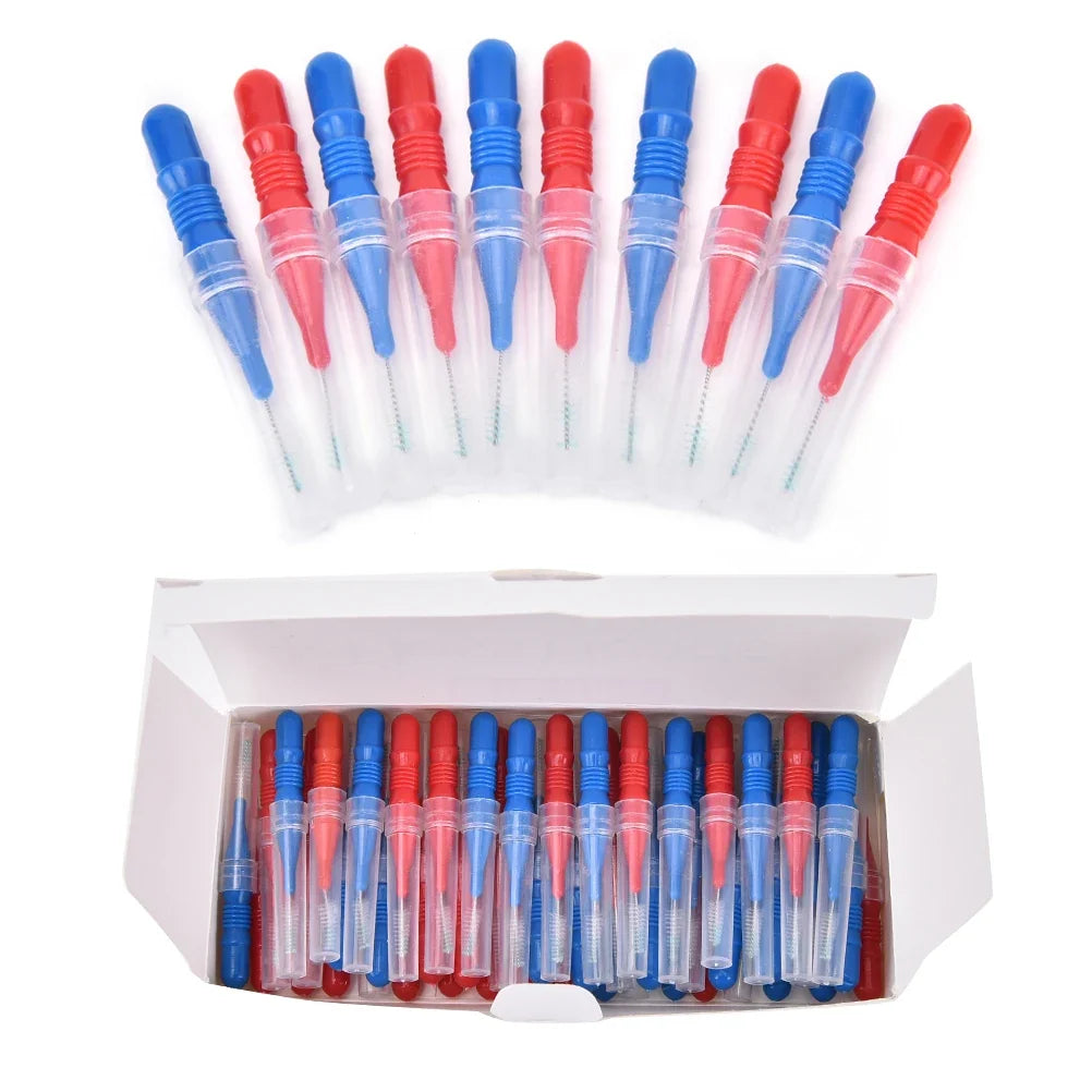 50-Piece Dental Floss Picks – Interdental Brush & Toothpick