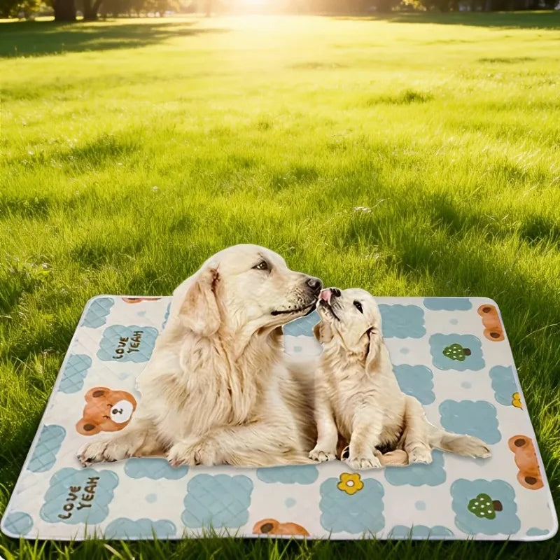 Kemorela 2-Pack Washable Dog Training Mats – Car, Home & Outdoor