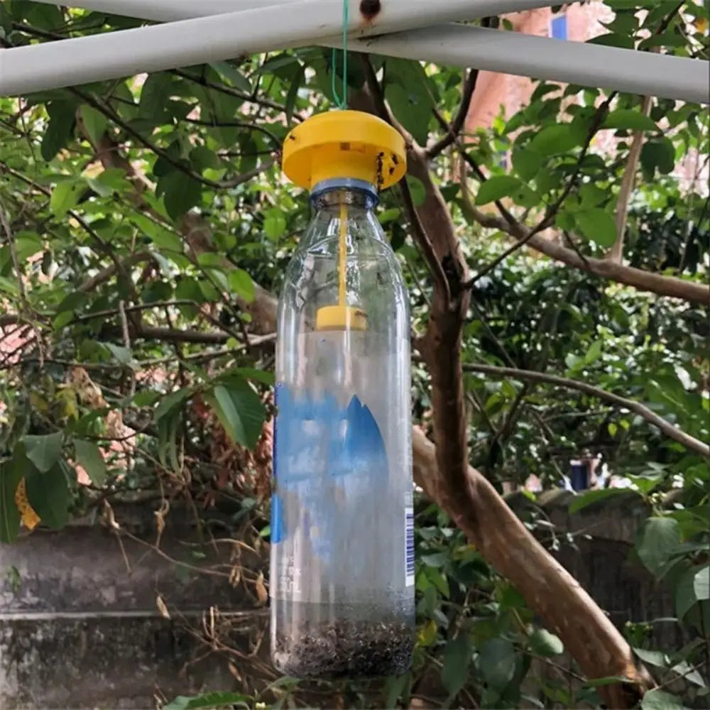 10-Pack Yellow Sticky Fruit Fly Traps | Hanging Insect Catchers