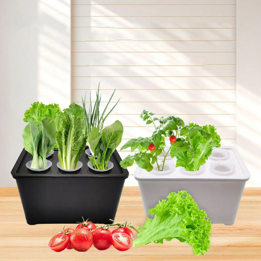 Indoor Hydroponic Planting Kit – Seedling Box for Home & Balcony