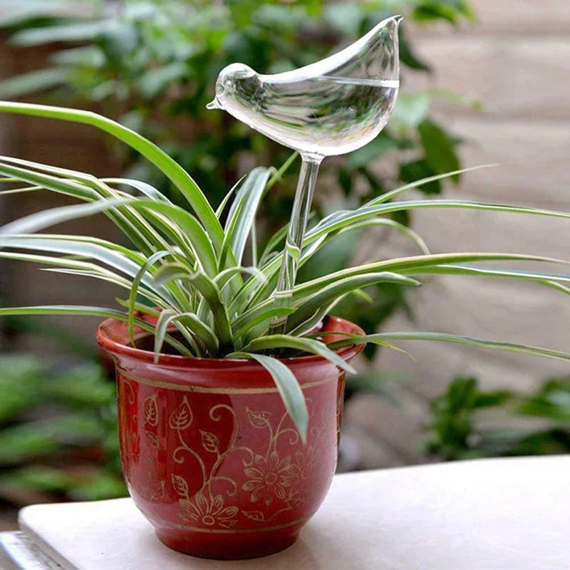 Bird-Shape Self Watering Globe – Clear Plant Waterer Bulb