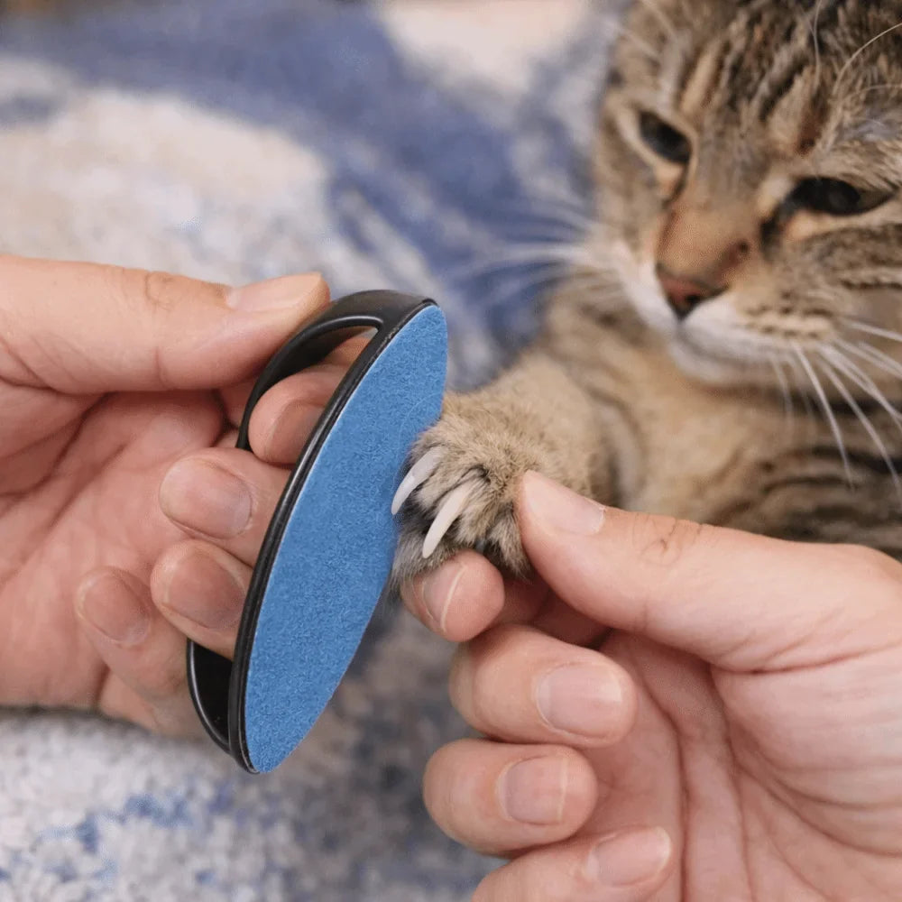 Replaceable Sandpaper Pet Nail File Board for Cats & Dogs