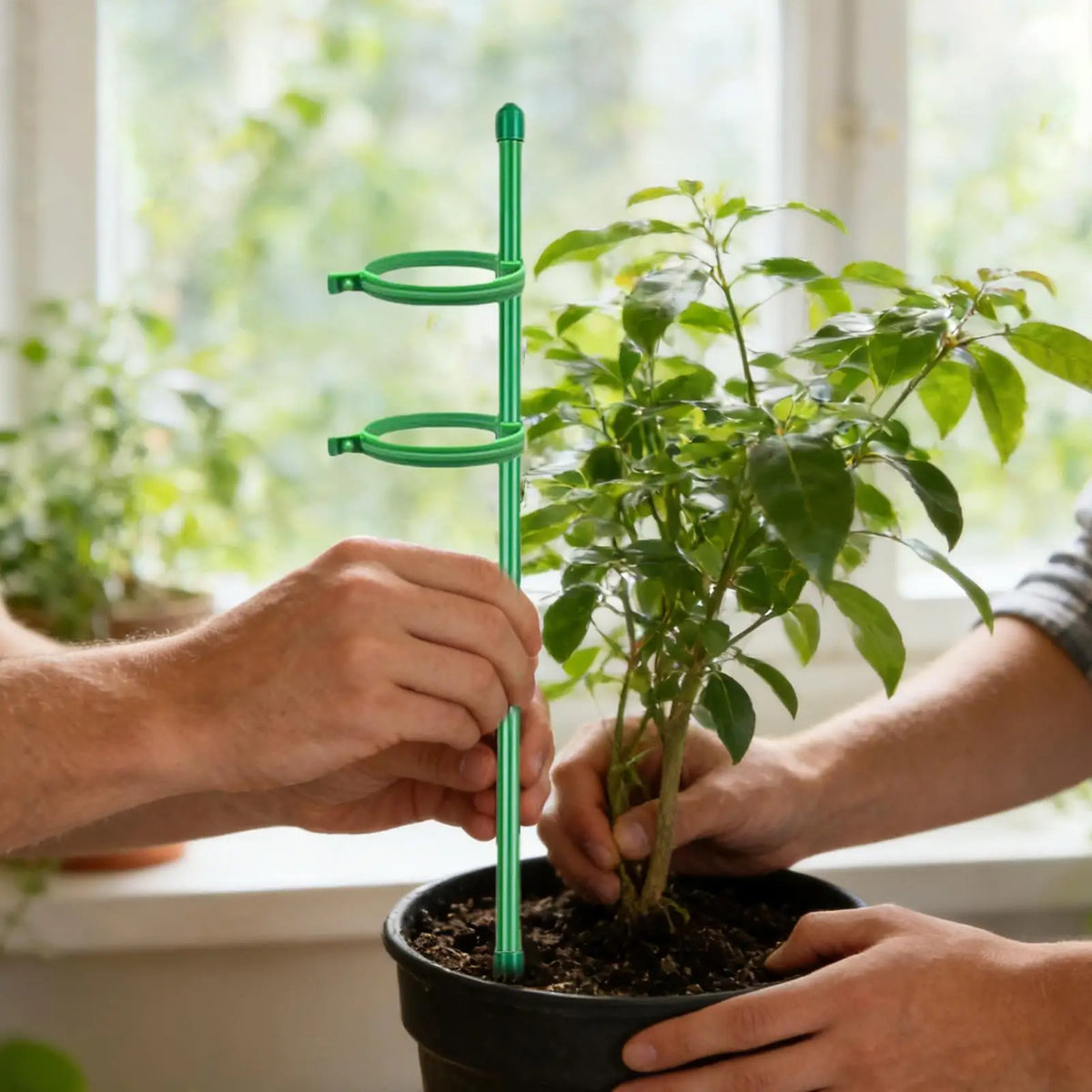 10-Pack Adjustable Plant Support Stakes with Clips – 45cm