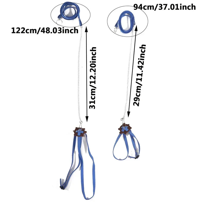 Pet Turtle Leash & Harness – Outdoor Training Traction Belt