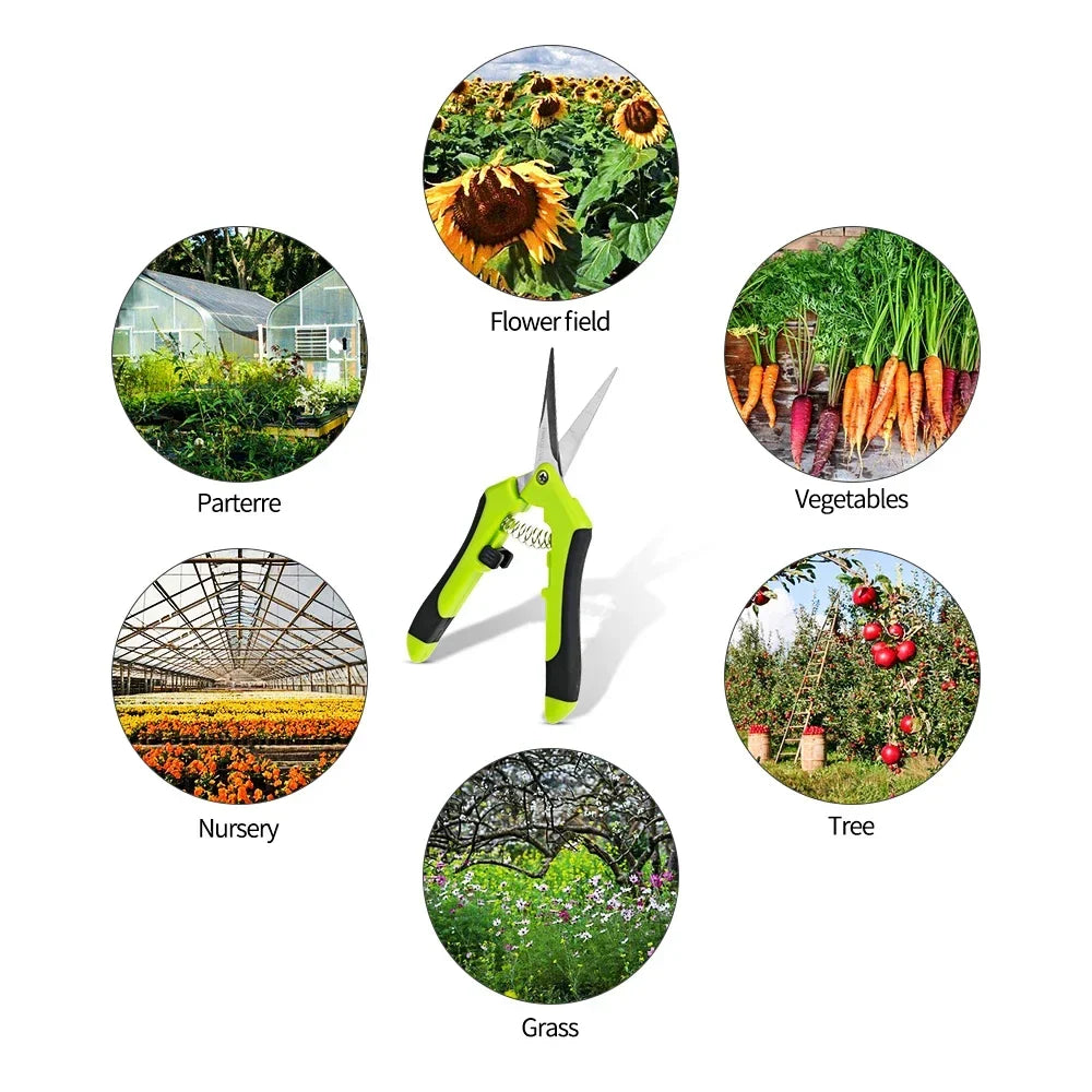 Garden Pruning Shears Stainless Steel Plants Fruit Grape Picking