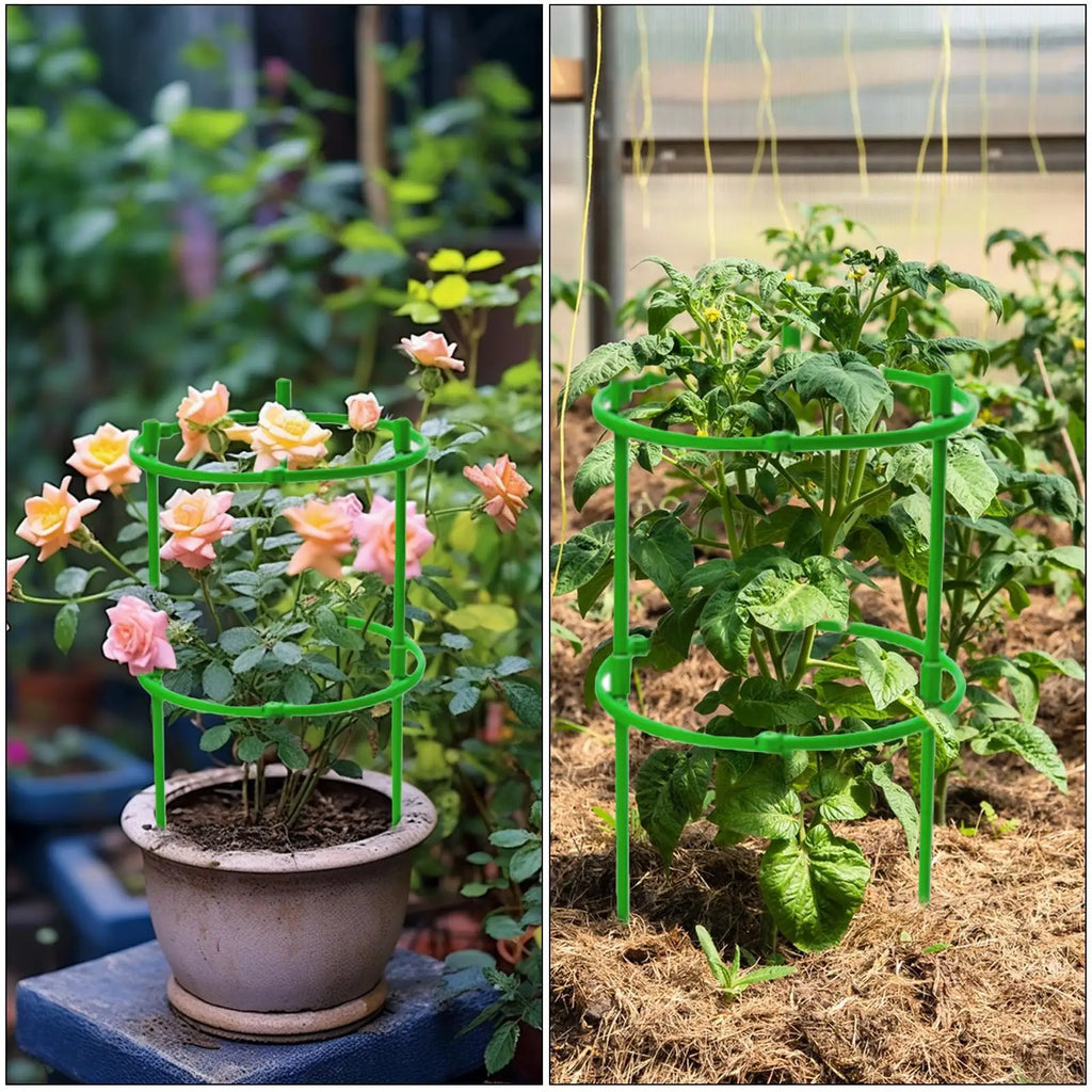 Round Tomato Cage Plant Support Trellis | Climbing Plant Stake