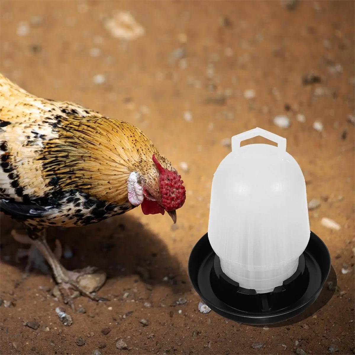 Automatic Chicken Waterer Poultry Drinker Duck Goose Pigeon Quail