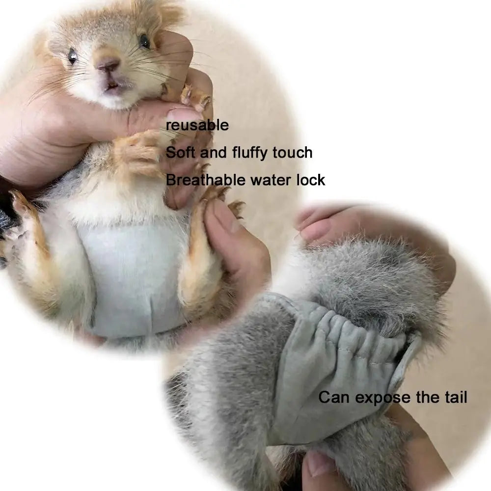 Pet Diapers for Squirrels, Hamsters & Small Animals – Absorbent