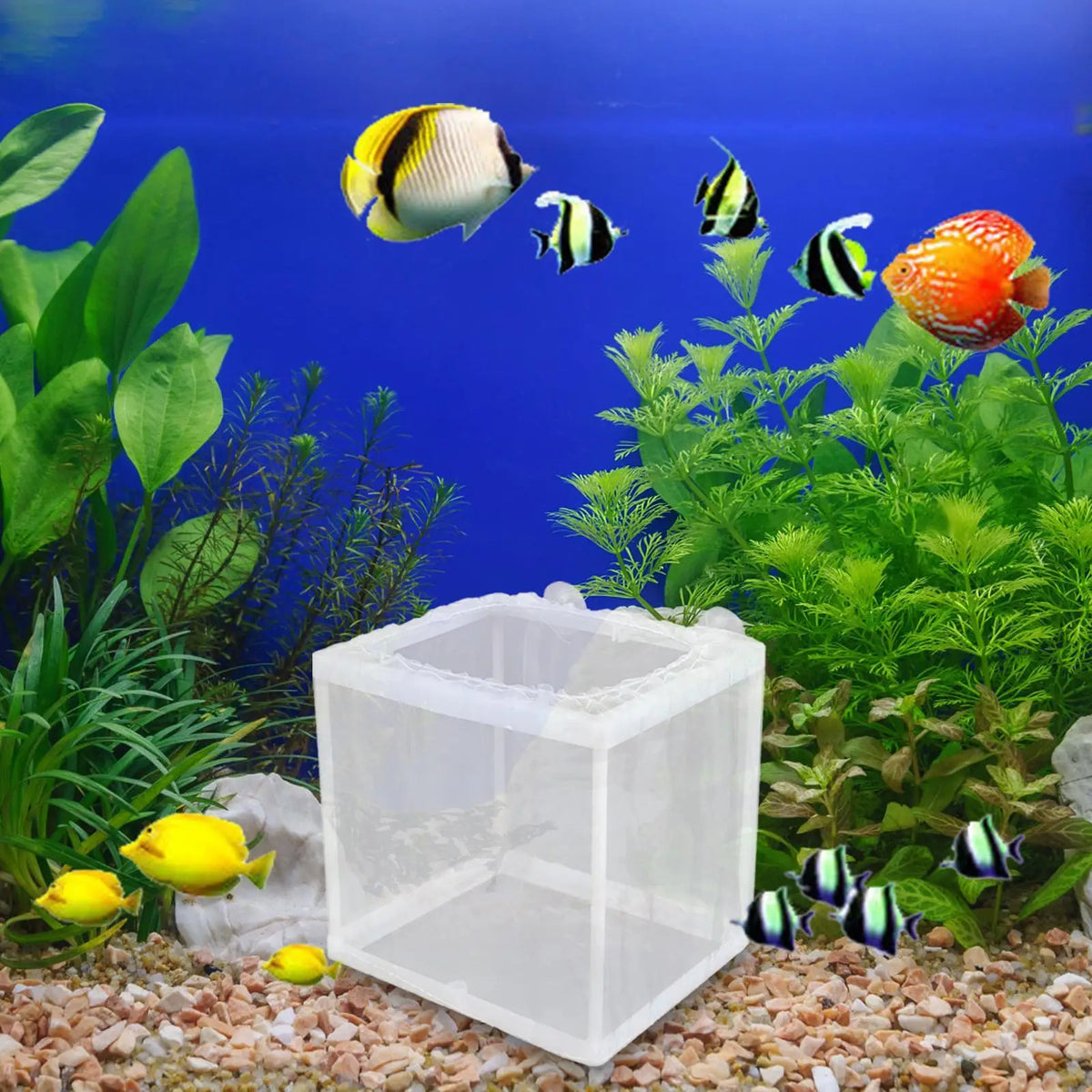 Breeder Box Fish Tank Isolation Mesh Juvenile Separation Net Suction