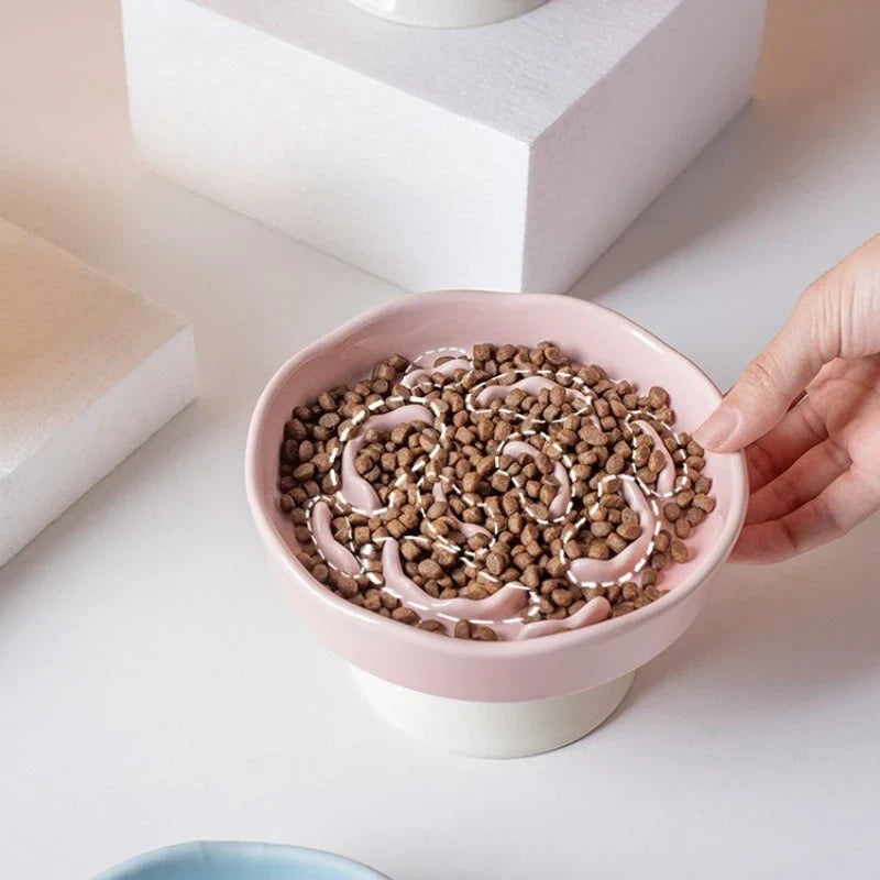 Ceramic Elevated Slow Feeder Bowl for Cats & Dogs