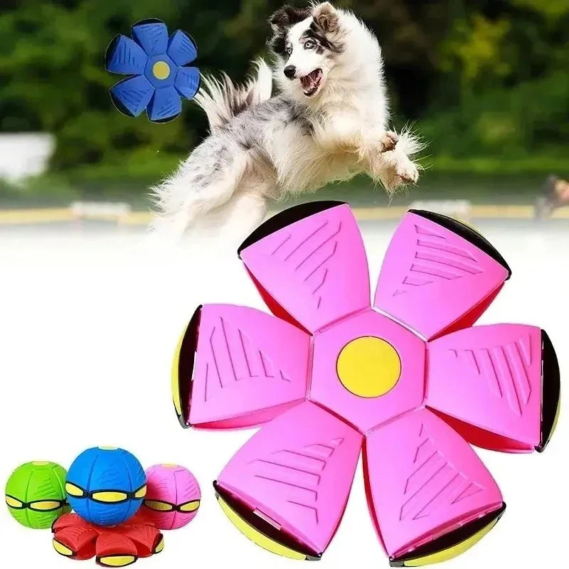 NOCCLILI Elastic Flying Saucer Bouncing Ball Dog Toy