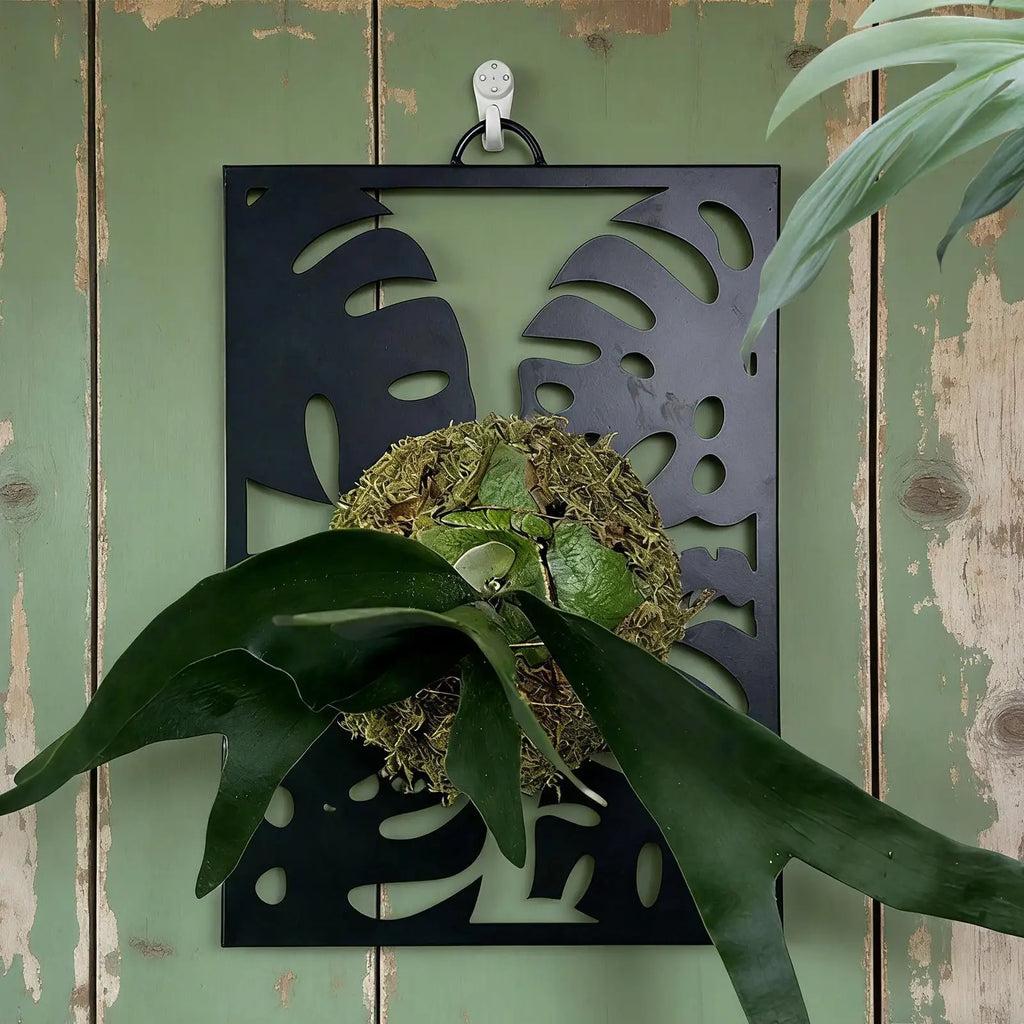 Metal Wall Planter Trellis Display Board | Indoor & Outdoor