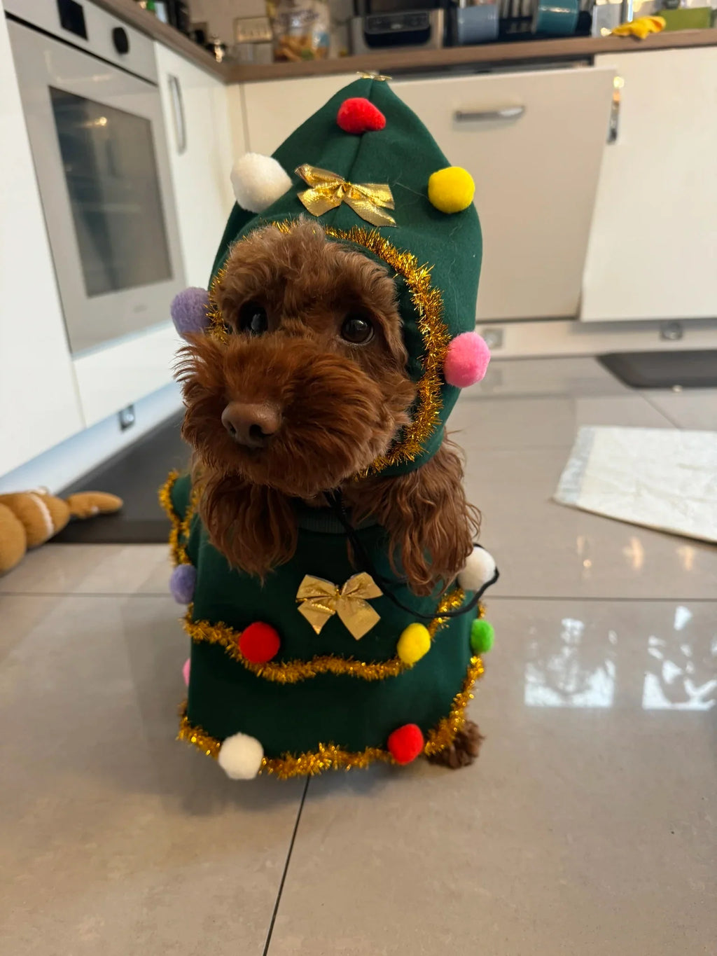 Dog Christmas Cape Cute Cat Costume Role-playing Party