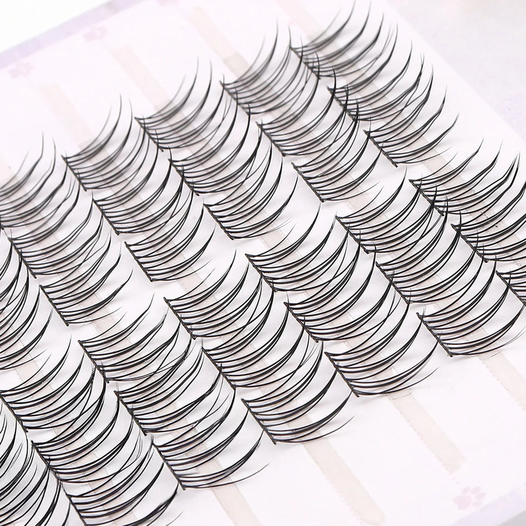 Korean Idol Manga Cluster Lashes | Wispy 3D Lash Extensions