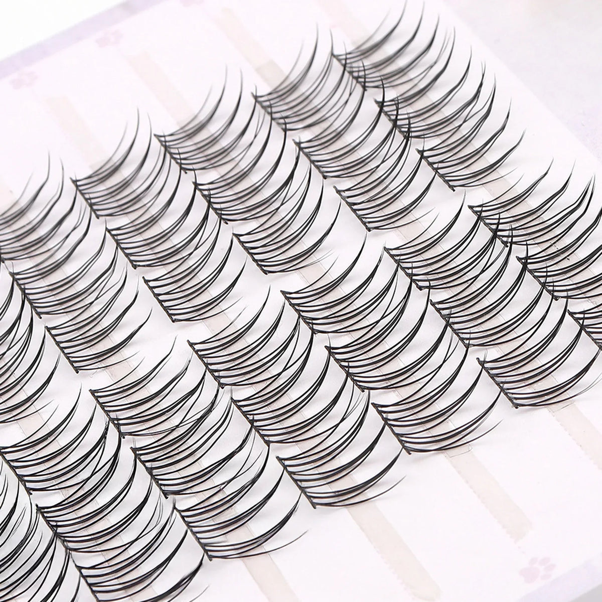 Korean Idol Manga Cluster Lashes | Wispy 3D Lash Extensions