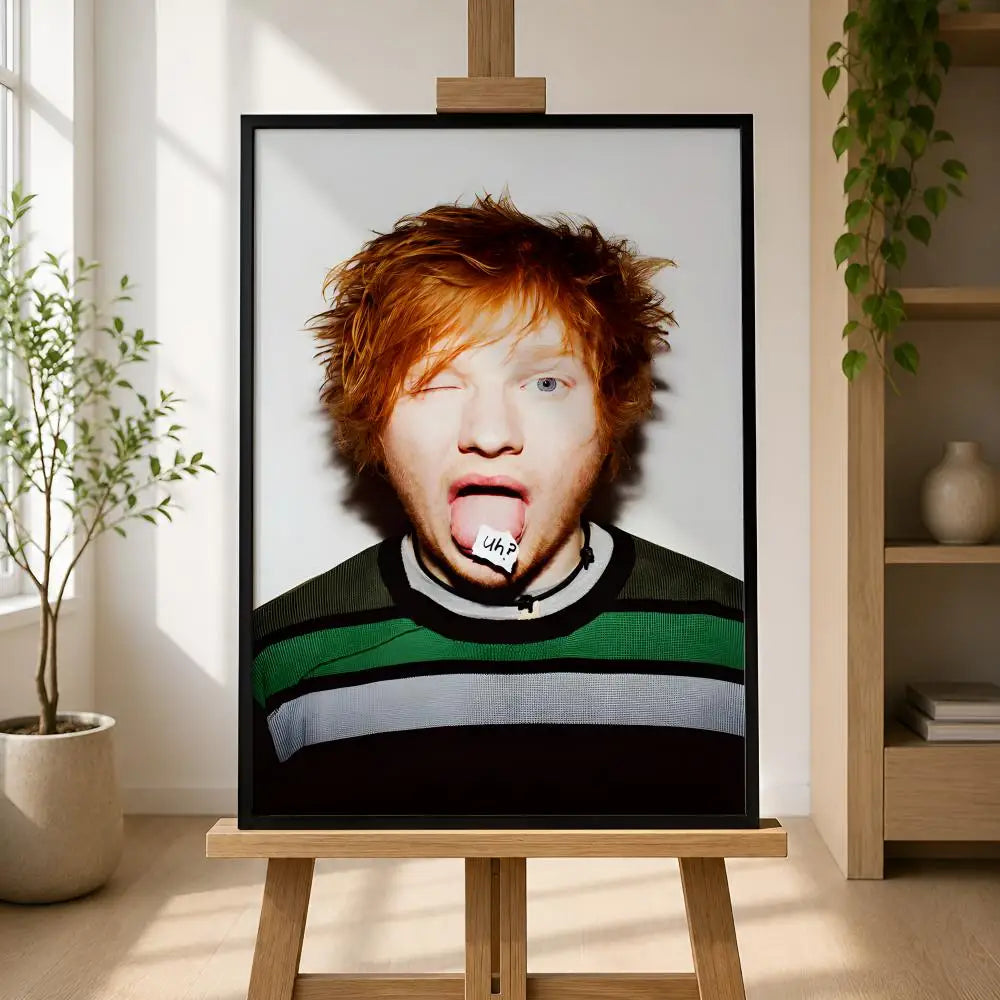 Ed Sheeran Album Poster – Self-Adhesive Waterproof Wall Art