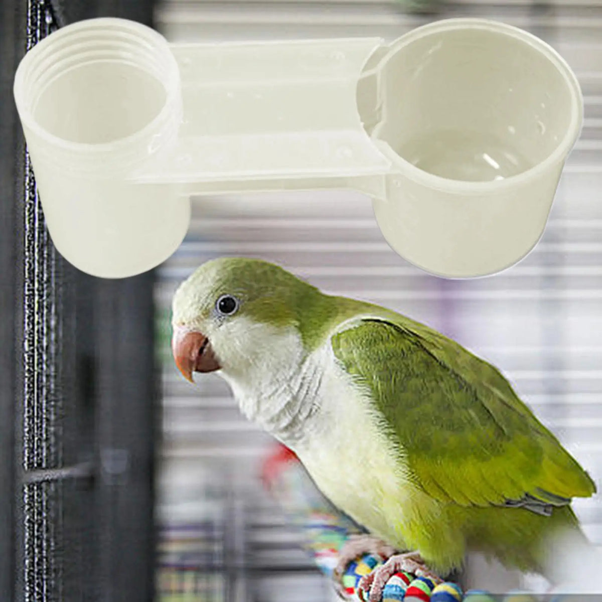 Double-Port Bird Water Dispenser – Splash-Proof Drinker Cup