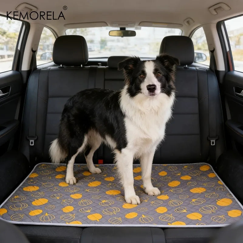 KEMORELA 2-Pack Washable Dog Training Mats – Home & Car