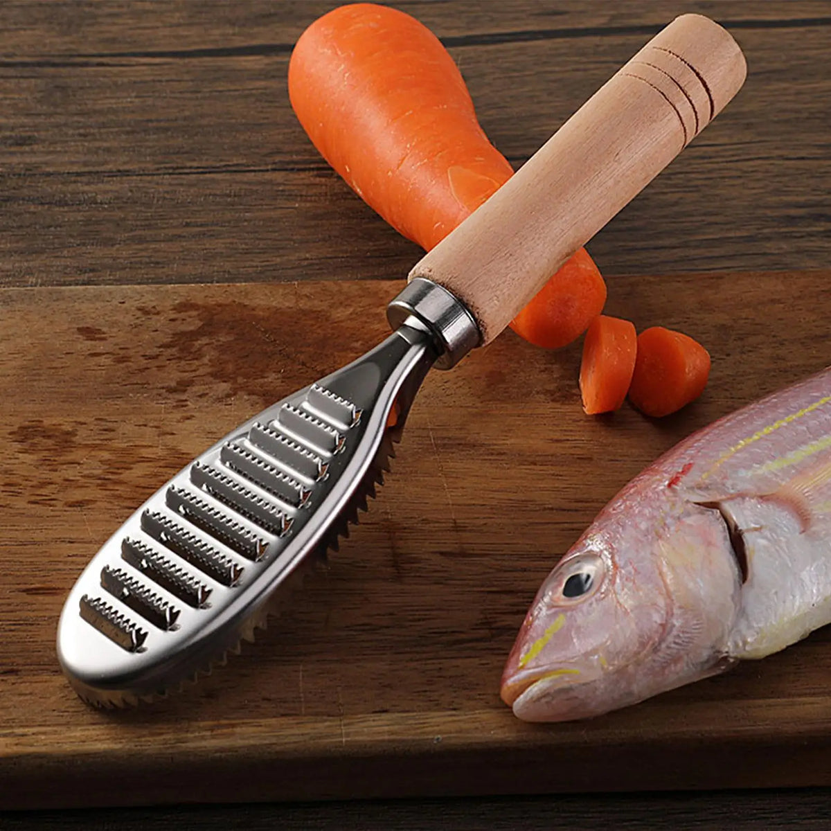 Stainless Steel Fish Scaler with Wooden Handle | Kitchen Tool