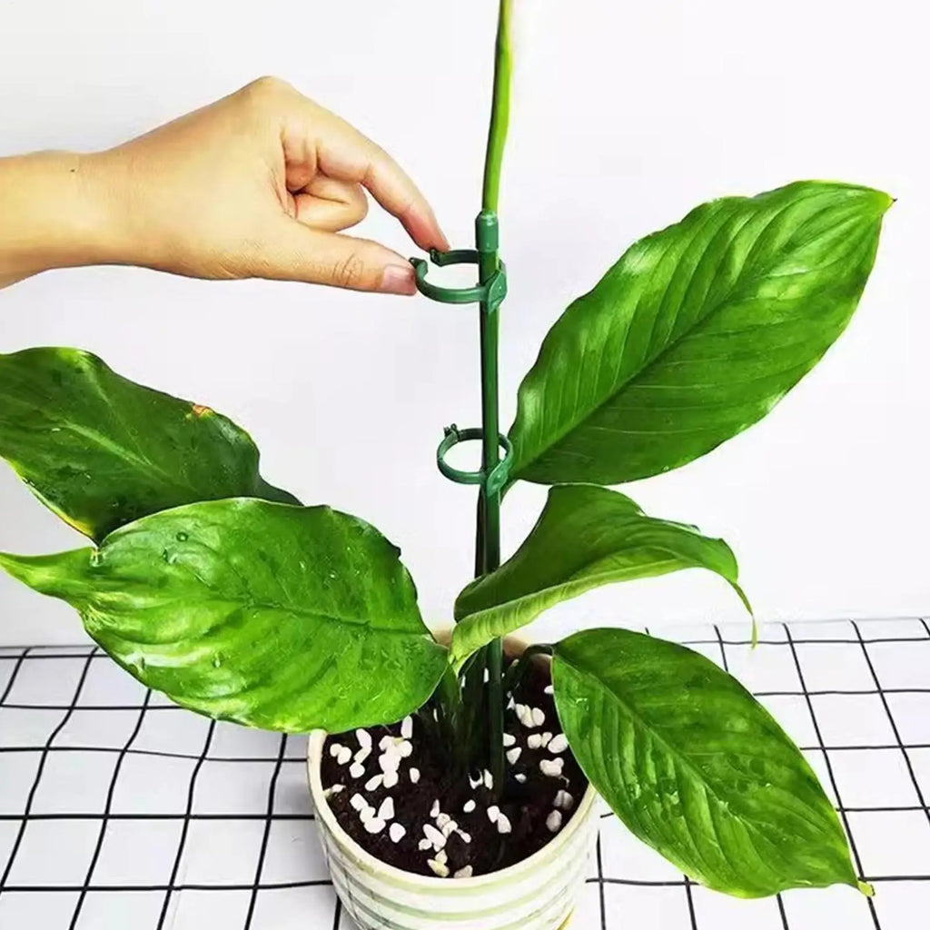 10-Pack Adjustable Plant Support Stakes with Clips – 45cm