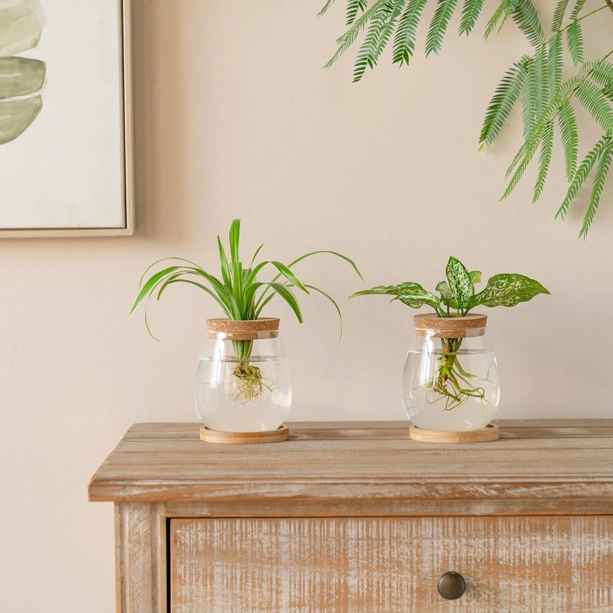 Glass Terrarium Vase & Wood Stand | Propagation Station Set of 2