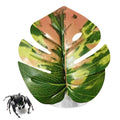 Jumping Spider Leaf Terrarium Decor with Suction Cup Mount
