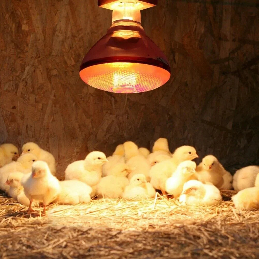 Infrared Heat Lamp 100–275W Quartz Glass E27 Breeding Bulb