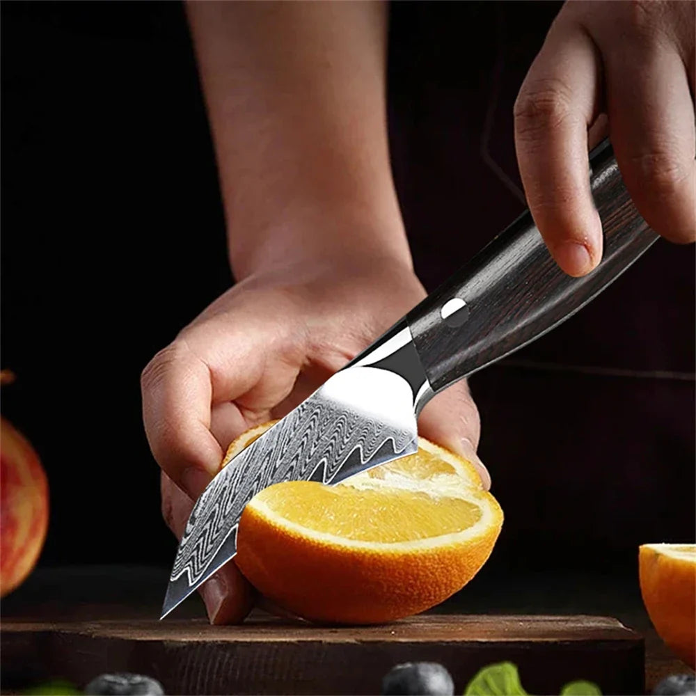 67-Layer Damascus Steel Paring Knife – Fruit Peeling Knife