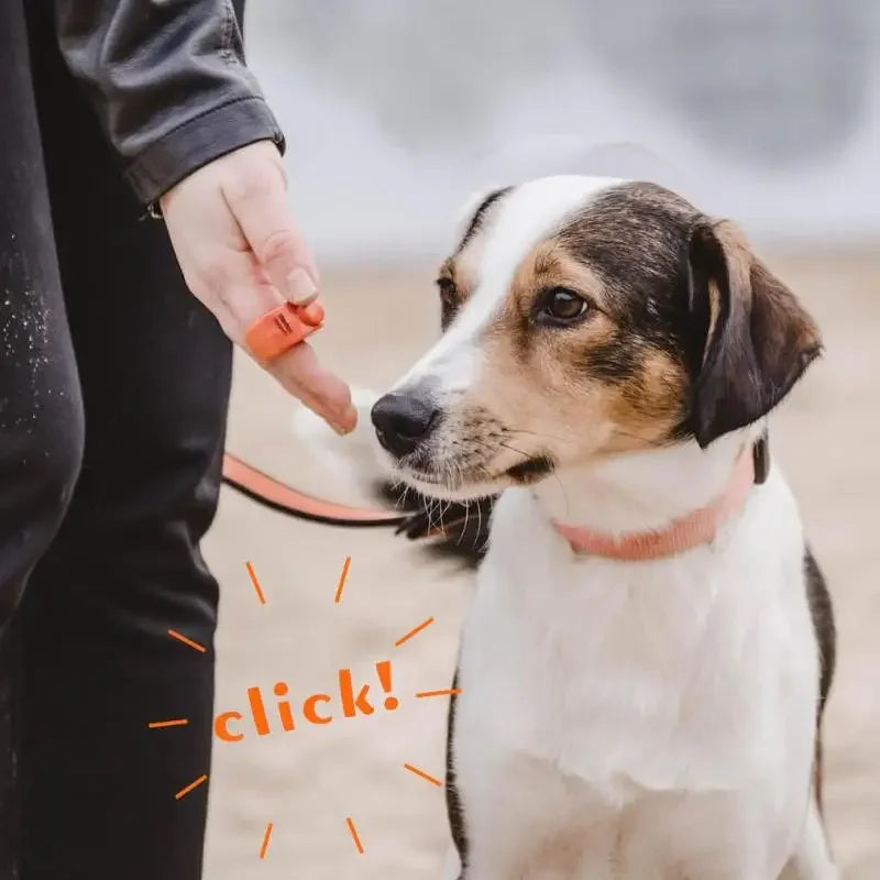 Mini Finger Clicker Pet Training Equipment Rattle Trainer Ring