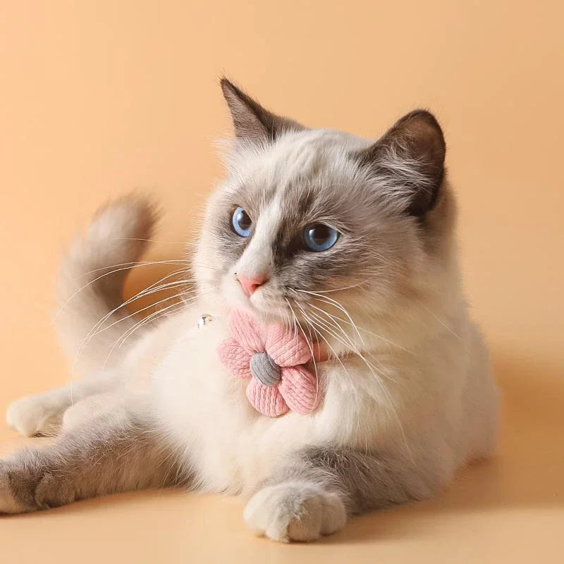 Cute Flower Bowtie Cat & Small Dog Bell Collar – Adjustable