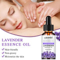 LGRAMER Lavender Essential Oil – Skin Care, Massage & Aroma