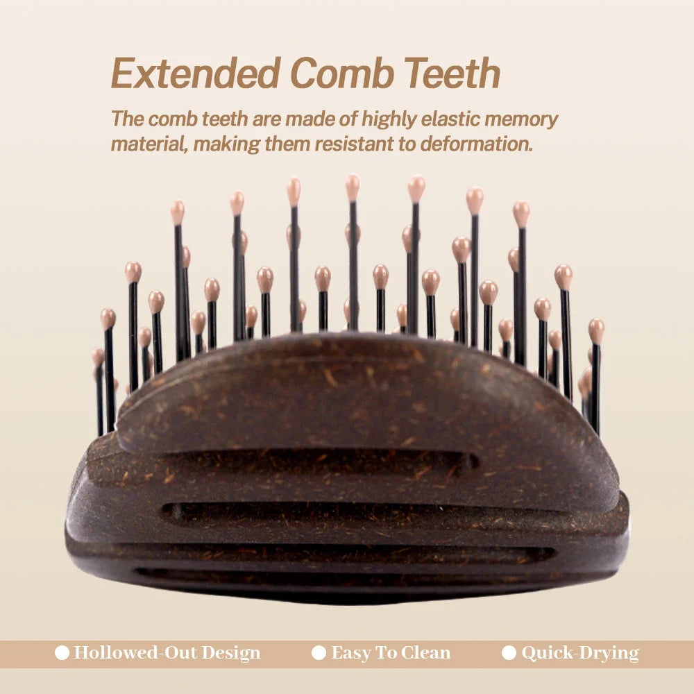 Hollow Anti-Static Hair Brush – Detangling Scalp Massage Comb