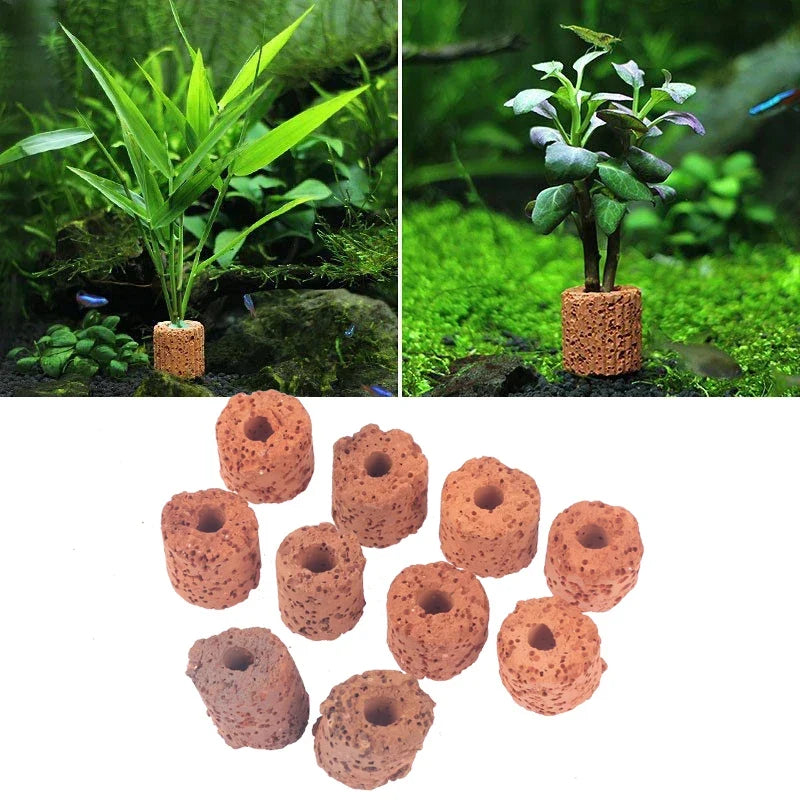 Plant Ring Aquarium Fixed Watertank Filter Weightsholder Plants