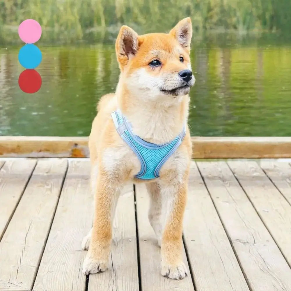 Adjustable Dog & Cat Harness Leash Set | Reflective, Escape-Proof