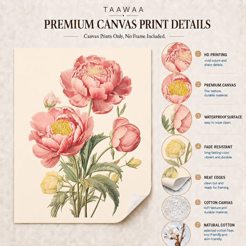 Vintage Botanical Peony Canvas Print | Pink Floral Wall Art