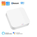 ZigBee Bluetooth Multi-Mode Smart Home Gateway | Alexa Google