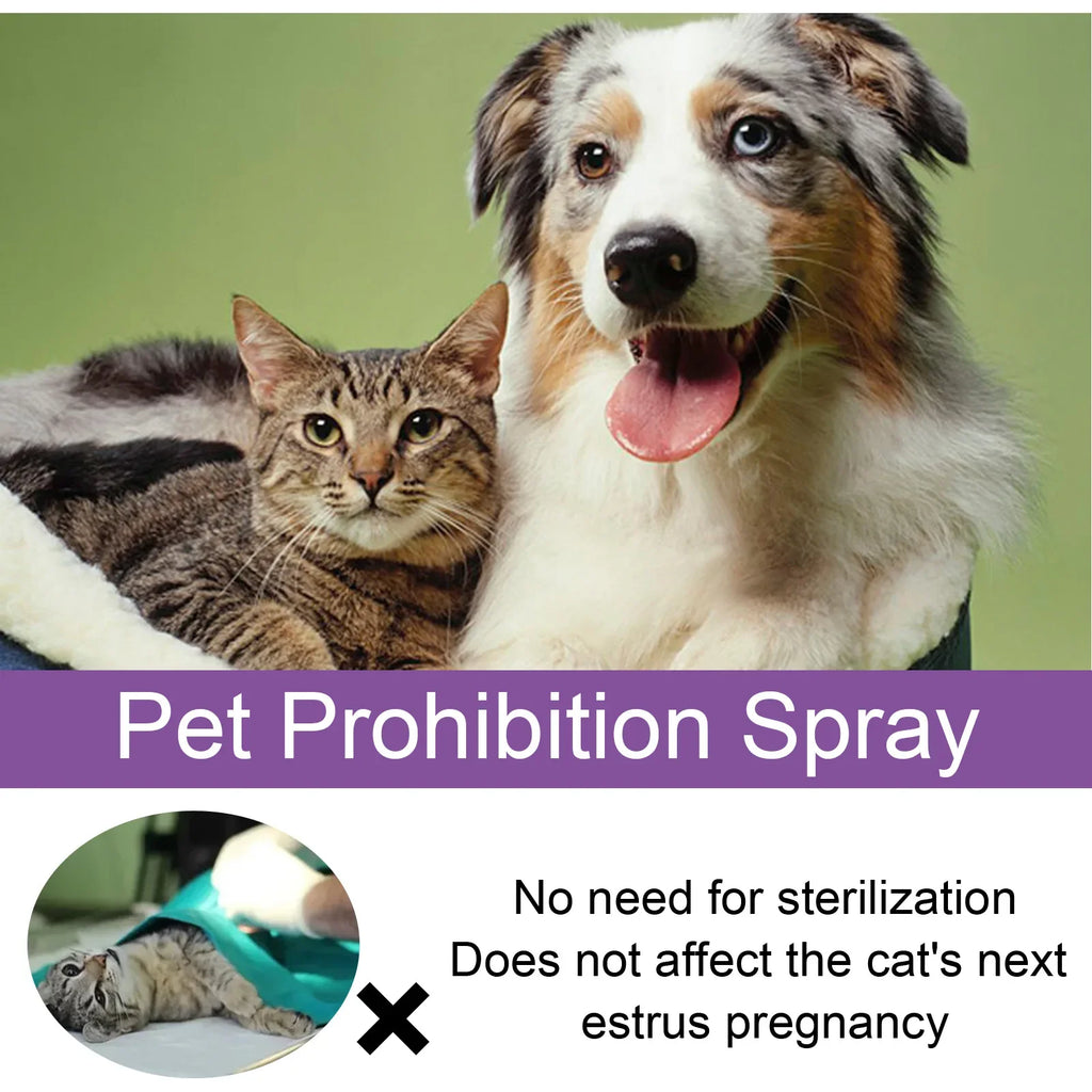 Pet Calming Pheromone Spray – Anxiety & Estrus Relief for Cats & Dogs