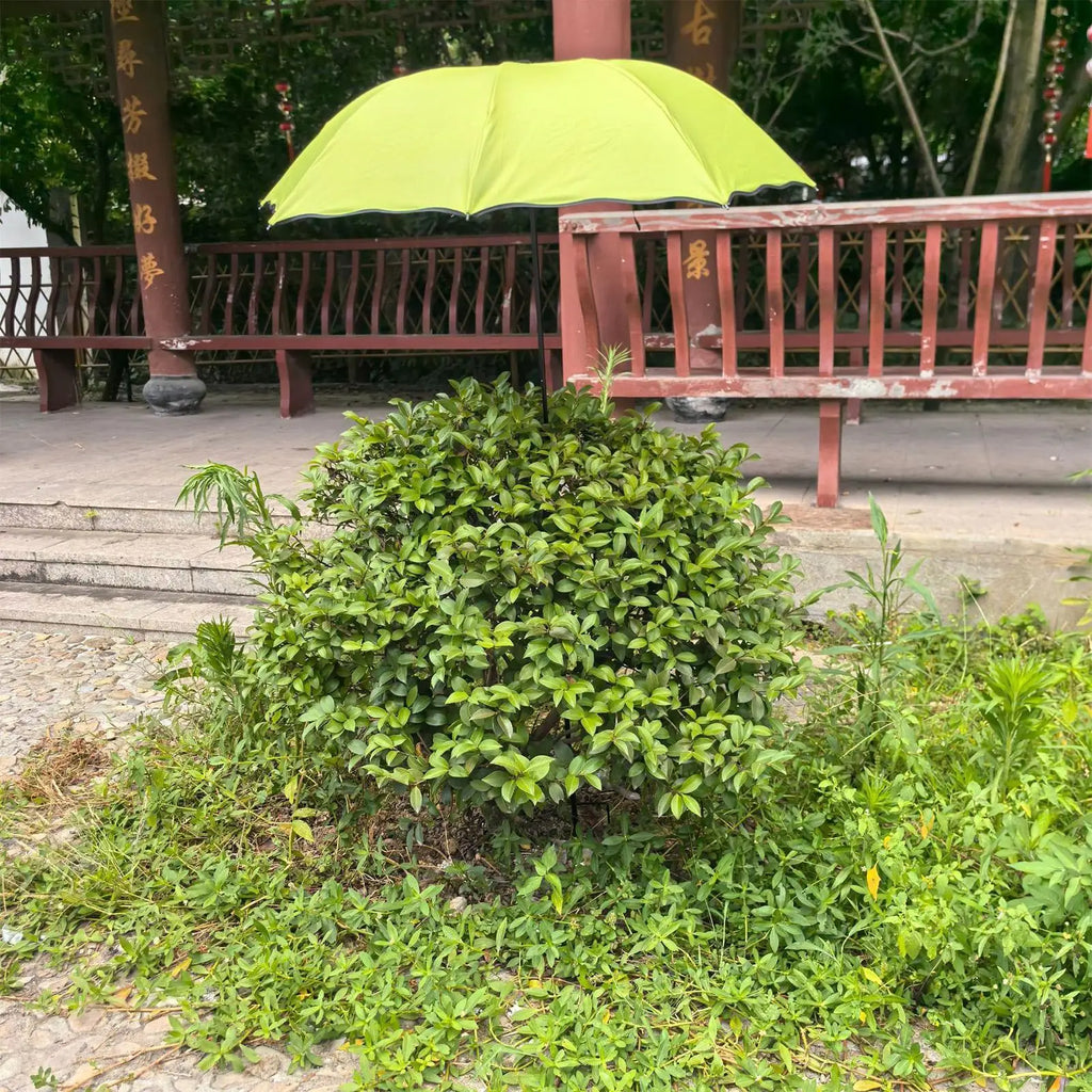 Plant Shade Umbrella – UV & Waterproof Garden Parasol 95cm