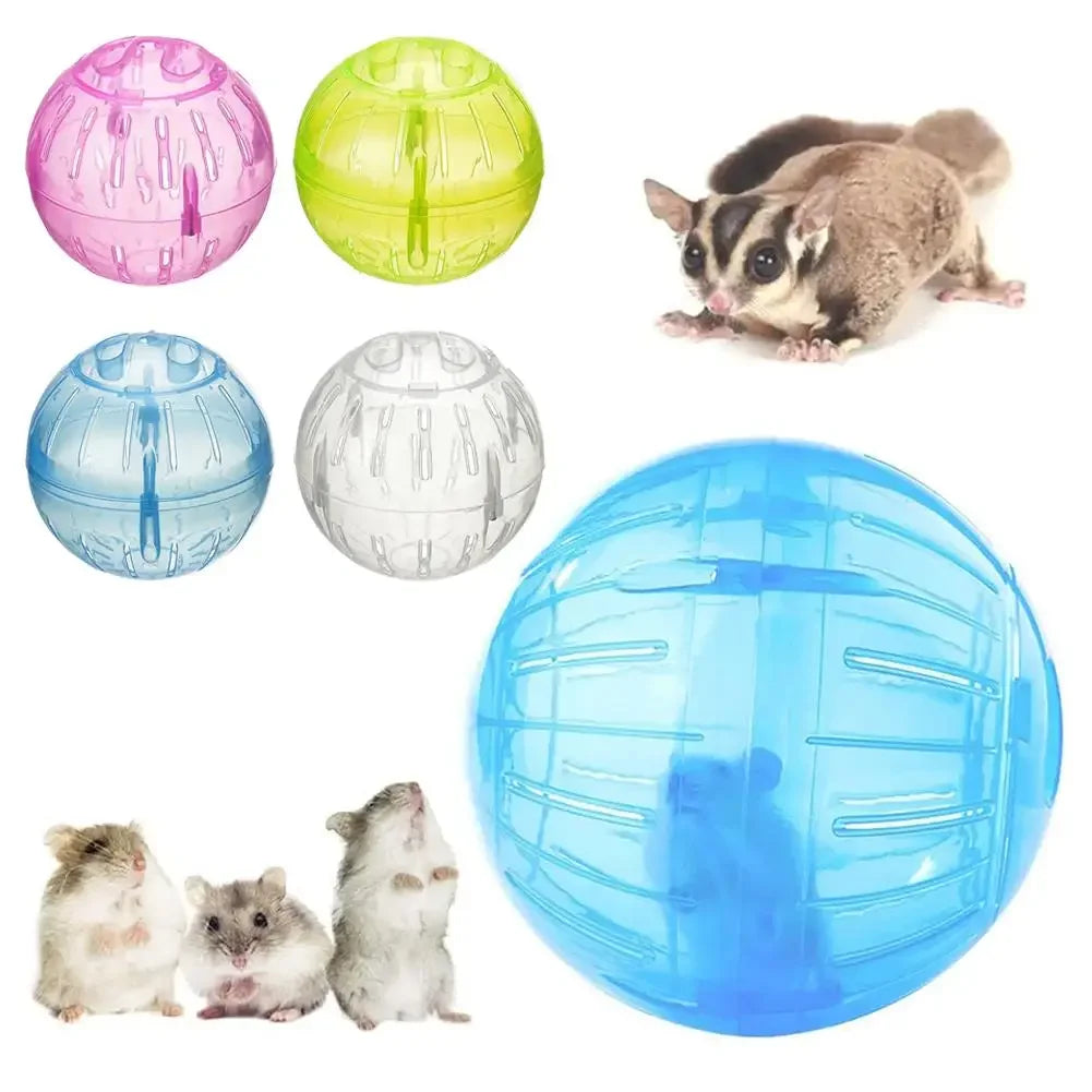 Transparent Acrylic Hamster Exercise Ball – 10cm, Escape-Proof